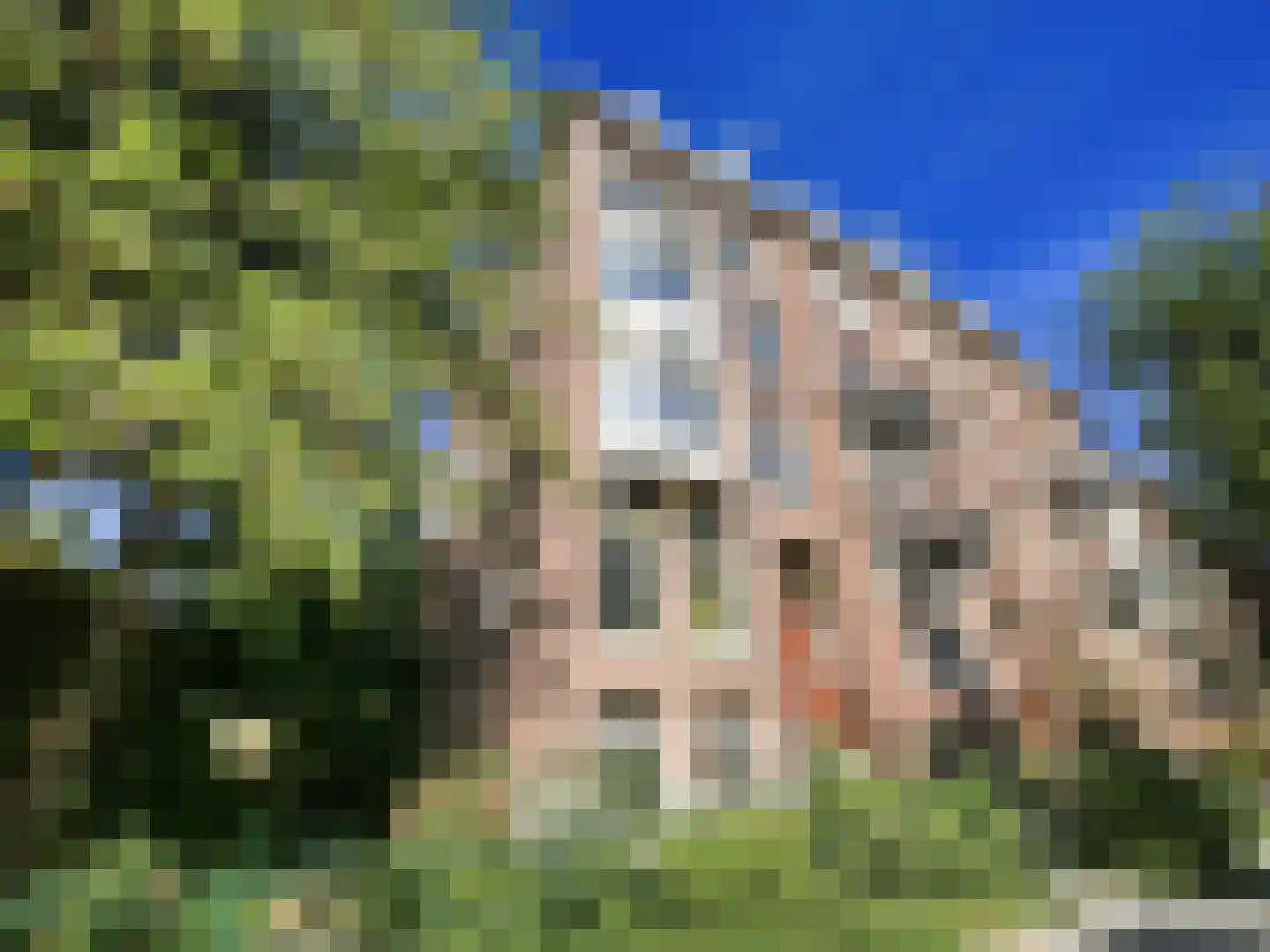 Koninginneweg 168 2 Amsterdam thumbnail 53