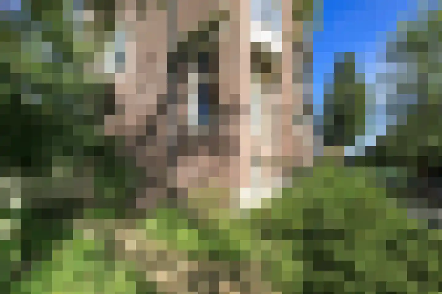 Koninginneweg 168 H Amsterdam thumbnail 55