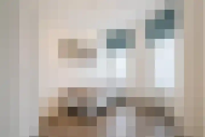 Koninginneweg 17 C Bergen (NH) thumbnail 18