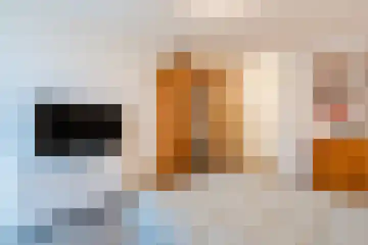 Koninginneweg 17 C Bergen (NH) thumbnail 25