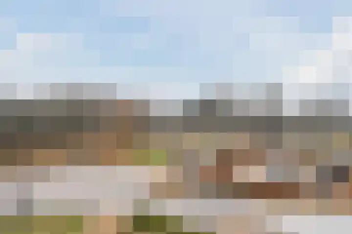 Koninginneweg 17 C Bergen (NH) thumbnail 33