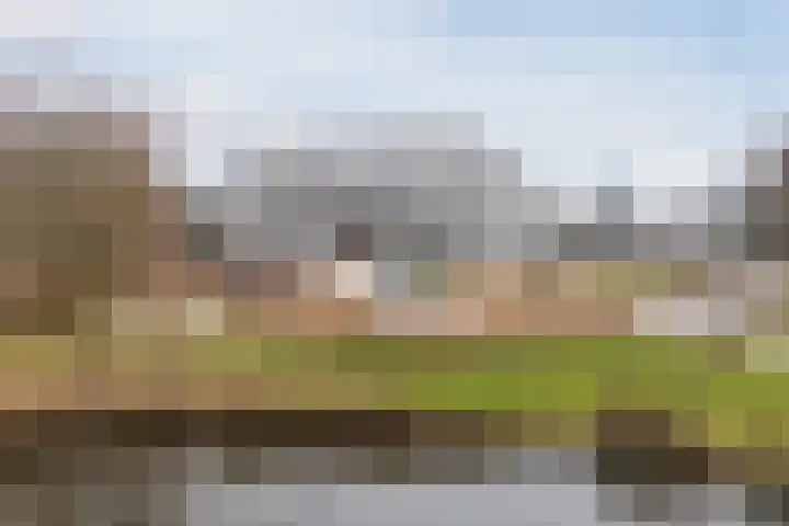 Koninginneweg 17 C Bergen (NH) thumbnail 36