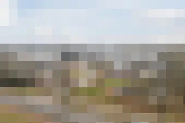 Koninginneweg 17 C Bergen (NH) thumbnail 37
