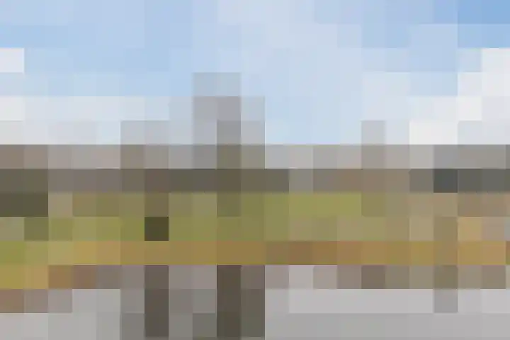 Koninginneweg 17 C Bergen (NH) thumbnail 38