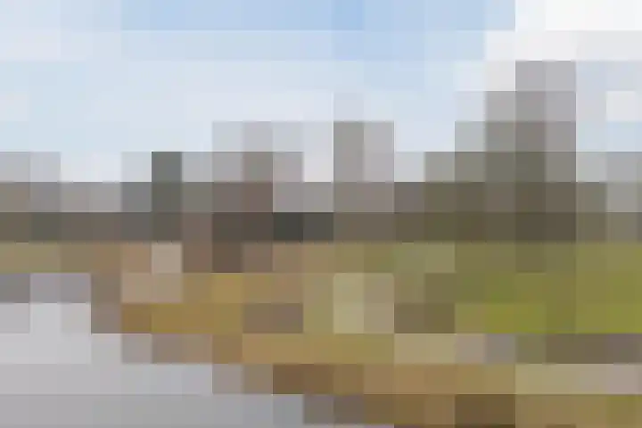 Koninginneweg 17 C Bergen (NH) thumbnail 39