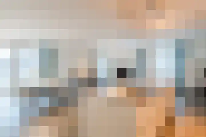 Koninginneweg 17 C Bergen (NH) thumbnail 8