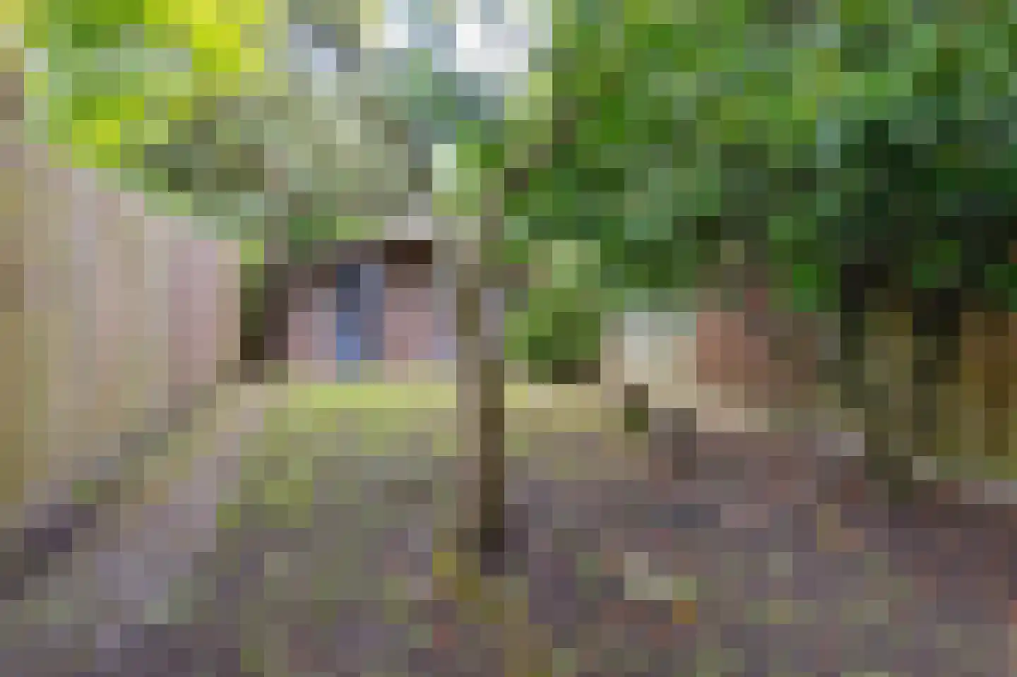 Koninginneweg 174 Rotterdam thumbnail 5