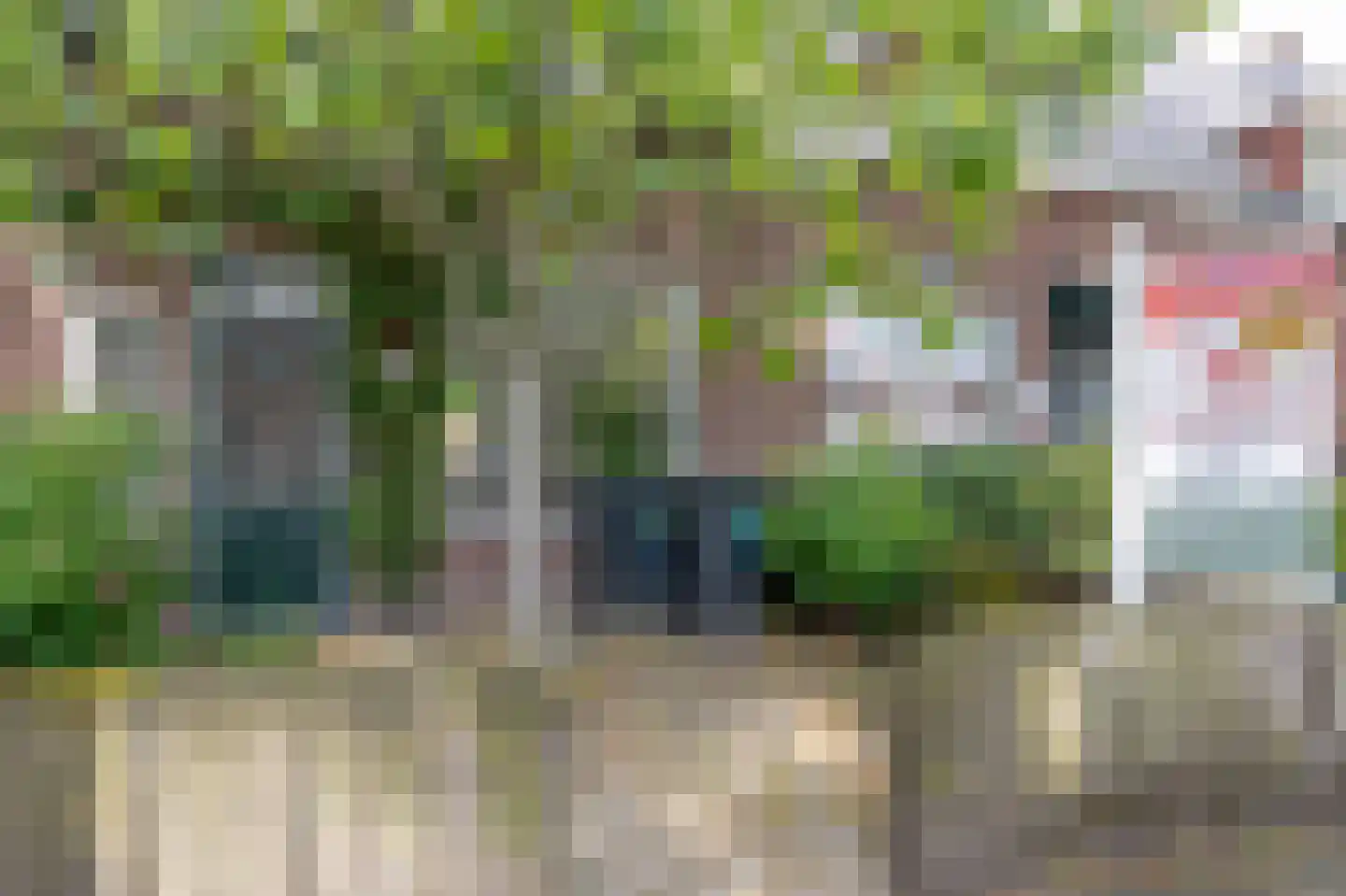 Koninginneweg 174 Rotterdam thumbnail 7