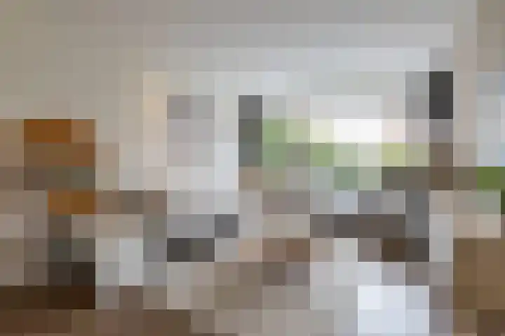 Koninginneweg 175 Bodegraven thumbnail 10