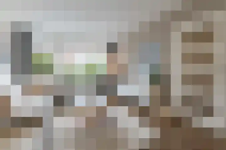 Koninginneweg 175 Bodegraven thumbnail 11