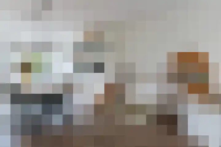 Koninginneweg 175 Bodegraven thumbnail 12