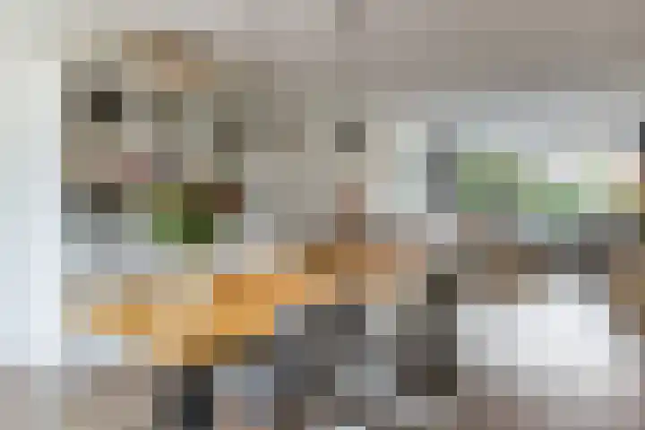 Koninginneweg 175 Bodegraven thumbnail 13