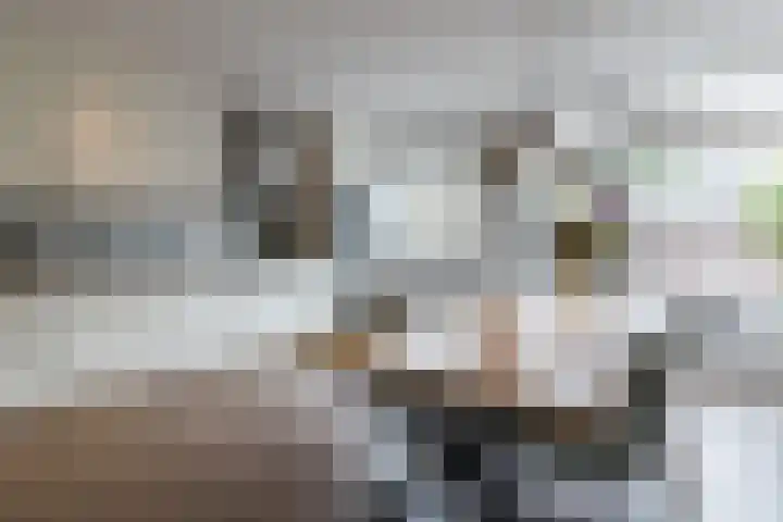Koninginneweg 175 Bodegraven thumbnail 17
