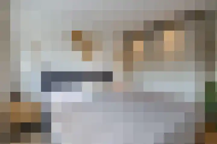 Koninginneweg 175 Bodegraven thumbnail 23