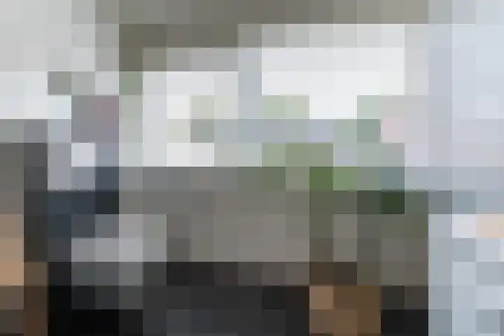 Koninginneweg 175 Bodegraven thumbnail 32