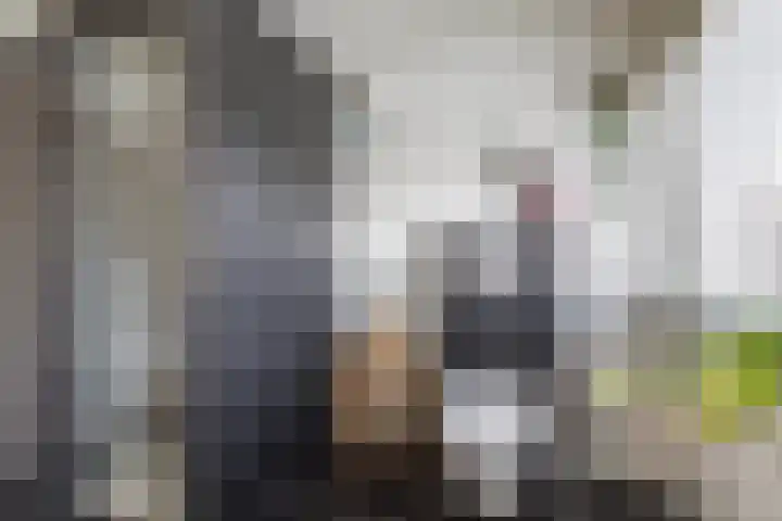 Koninginneweg 175 Bodegraven thumbnail 33