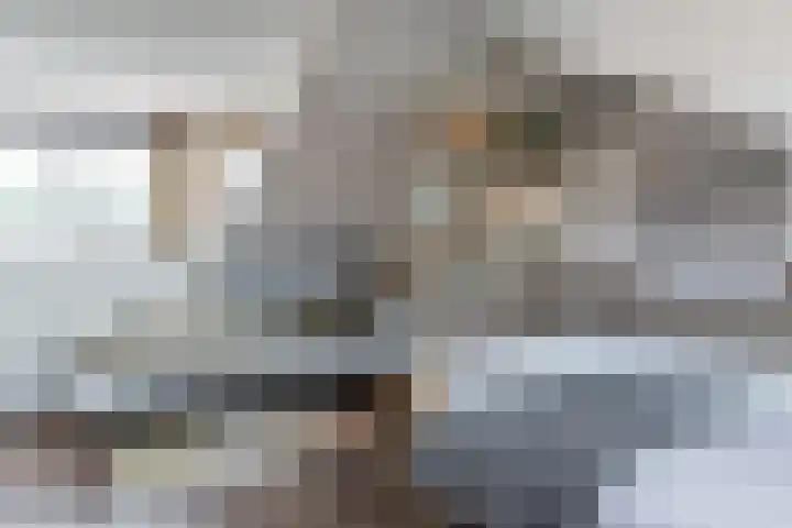 Koninginneweg 175 Bodegraven thumbnail 38