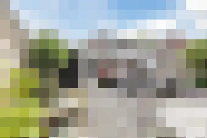 Koninginneweg 175 Bodegraven thumbnail 45