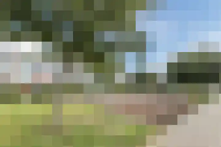 Koninginneweg 175 Bodegraven thumbnail 50