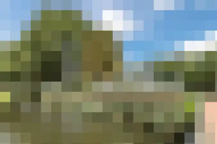 Koninginneweg 175 Bodegraven thumbnail 51