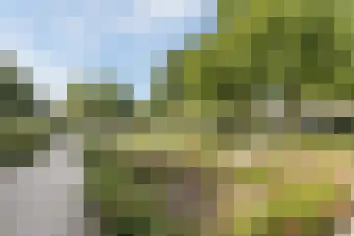 Koninginneweg 175 Bodegraven thumbnail 53