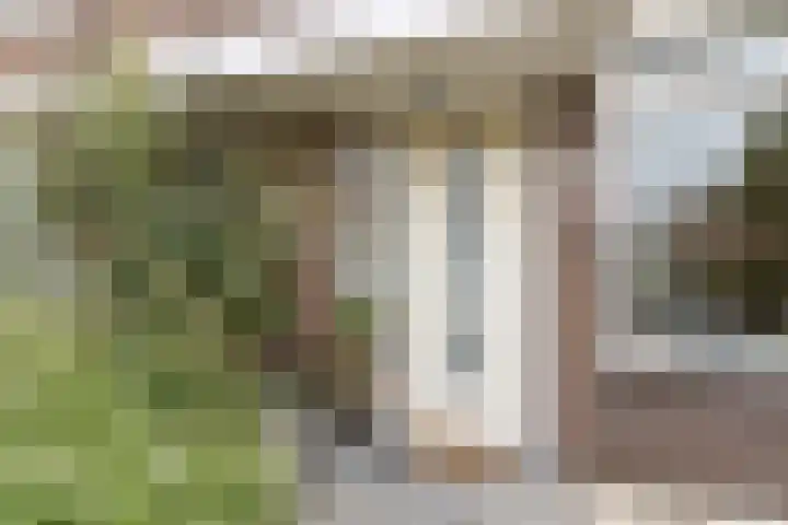Koninginneweg 175 Bodegraven thumbnail 8
