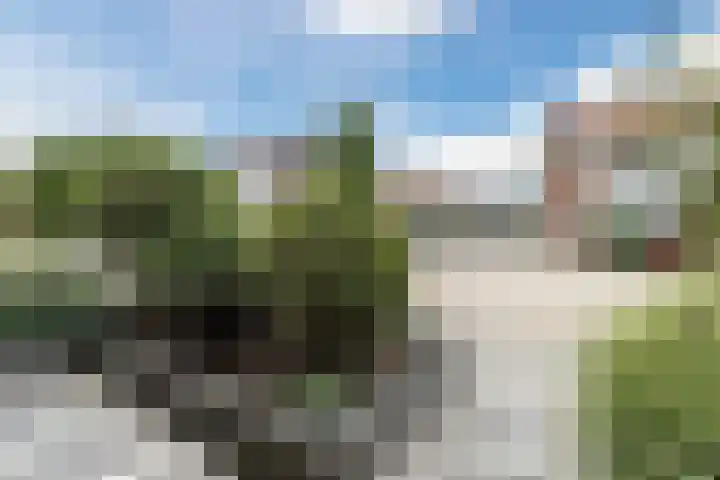 Koninginneweg 175 Bodegraven thumbnail 9