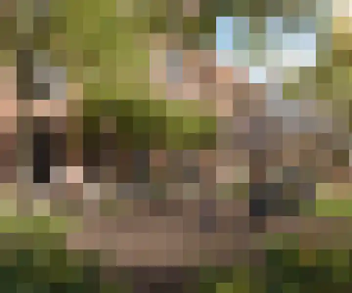 Koninginneweg 177 Zwijndrecht thumbnail 6