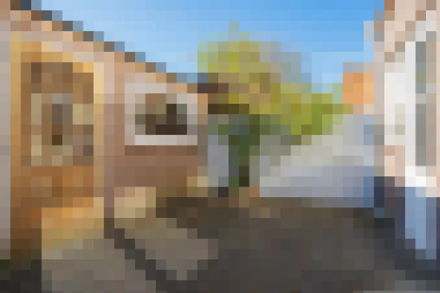 Koninginneweg 18 Zandvoort thumbnail 20