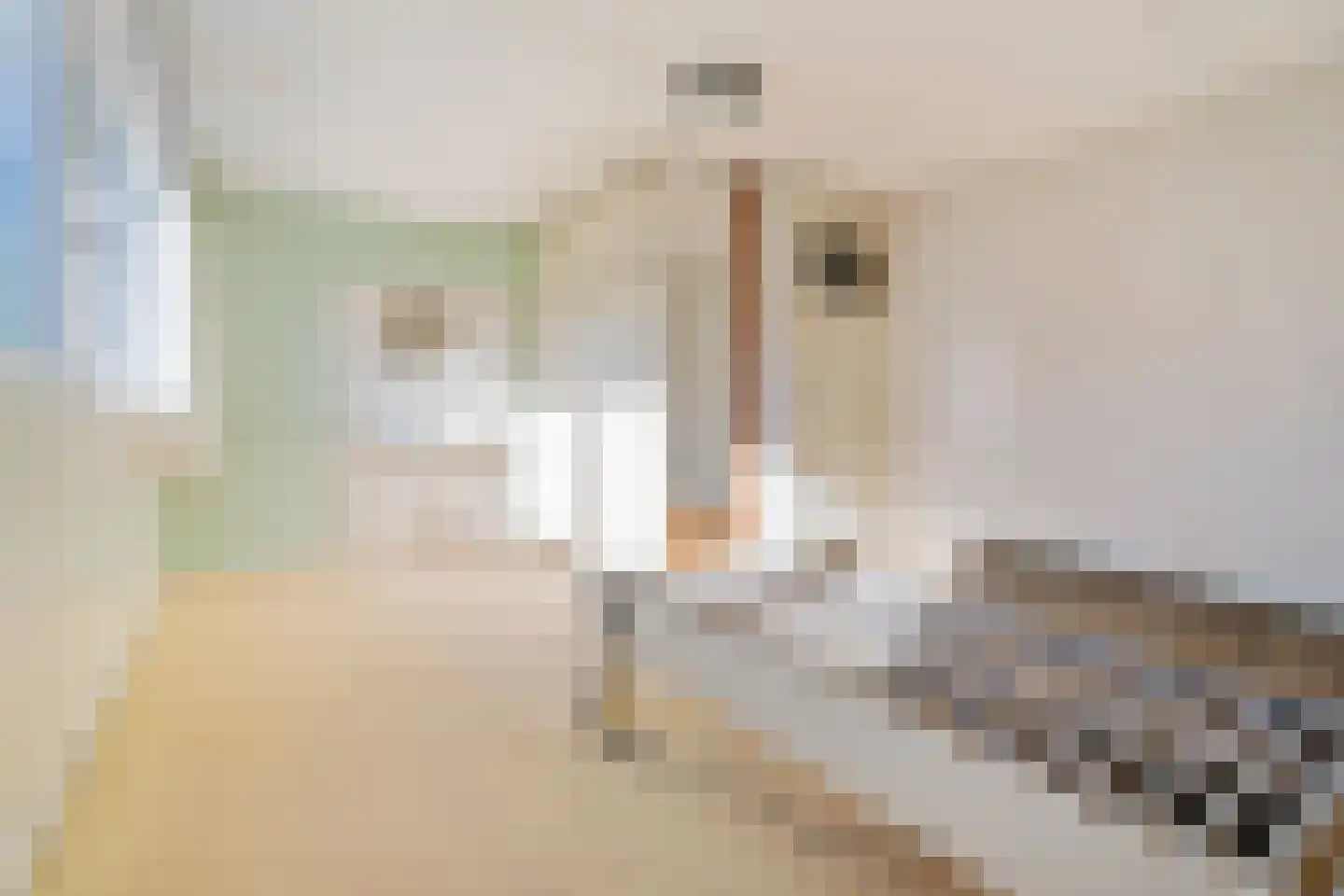 Koninginneweg 18 Zandvoort thumbnail 33