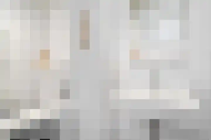 Koninginneweg 183 3 Amsterdam thumbnail 23