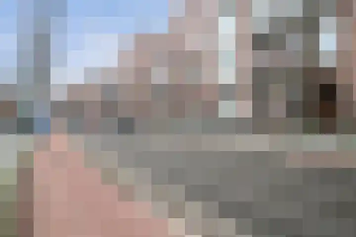 Koninginneweg 183 3 Amsterdam thumbnail 33