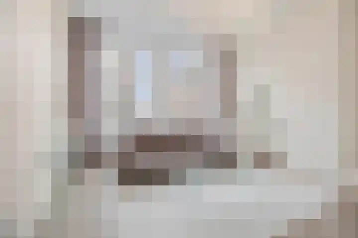Koninginneweg 183 3 Amsterdam thumbnail 4