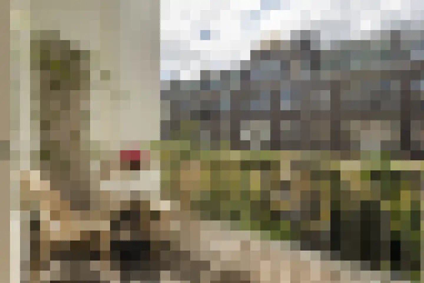 Koninginneweg 185 2 Amsterdam thumbnail 15