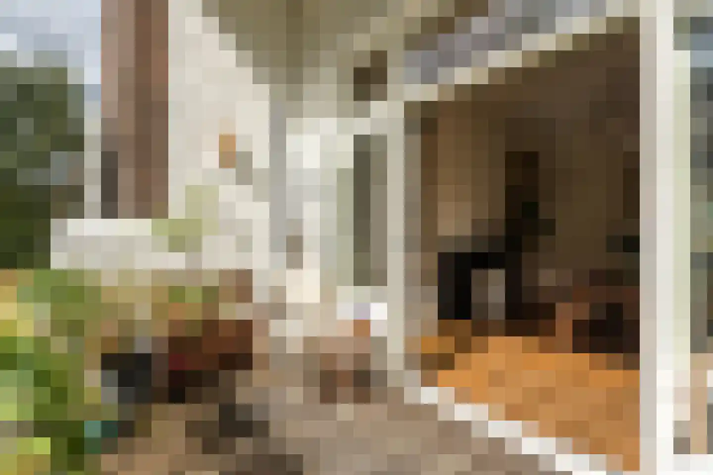 Koninginneweg 185 2 Amsterdam thumbnail 8
