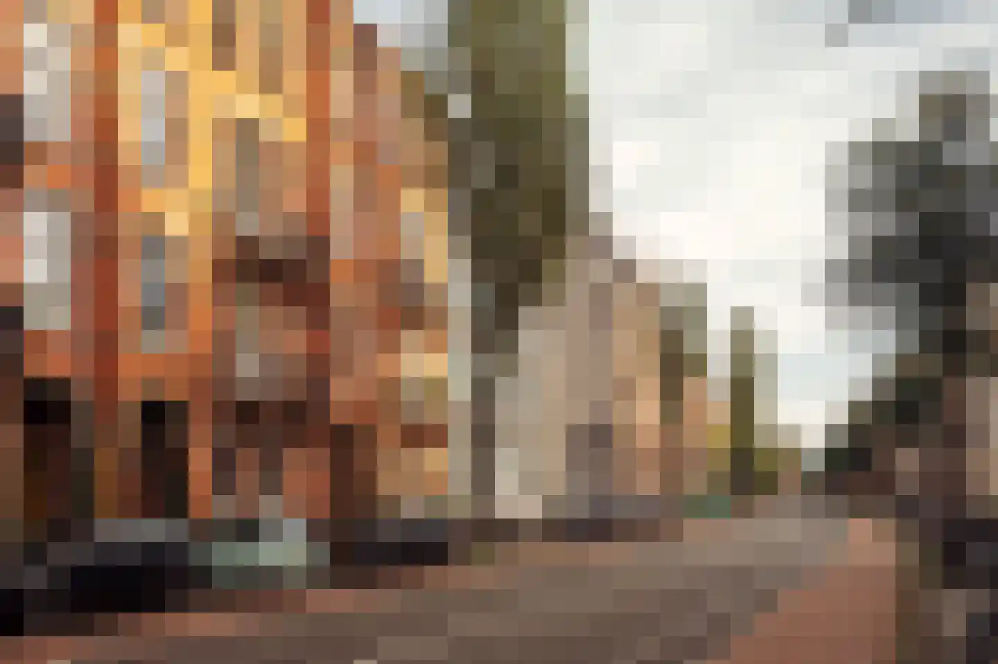 Koninginneweg 188 2 Amsterdam thumbnail 43