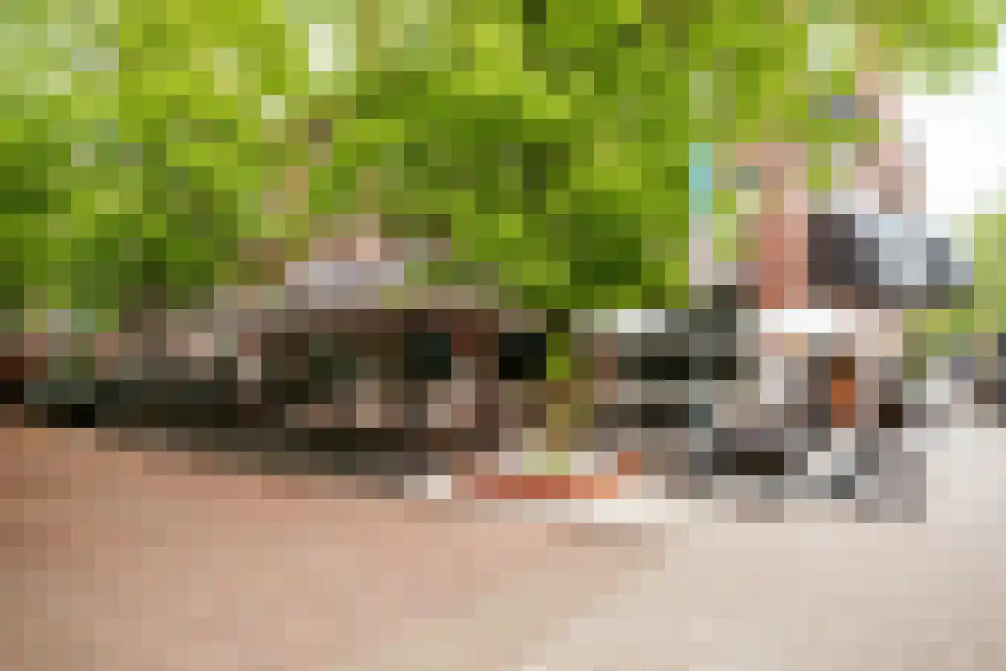 Koninginneweg 190 D Amsterdam thumbnail 27
