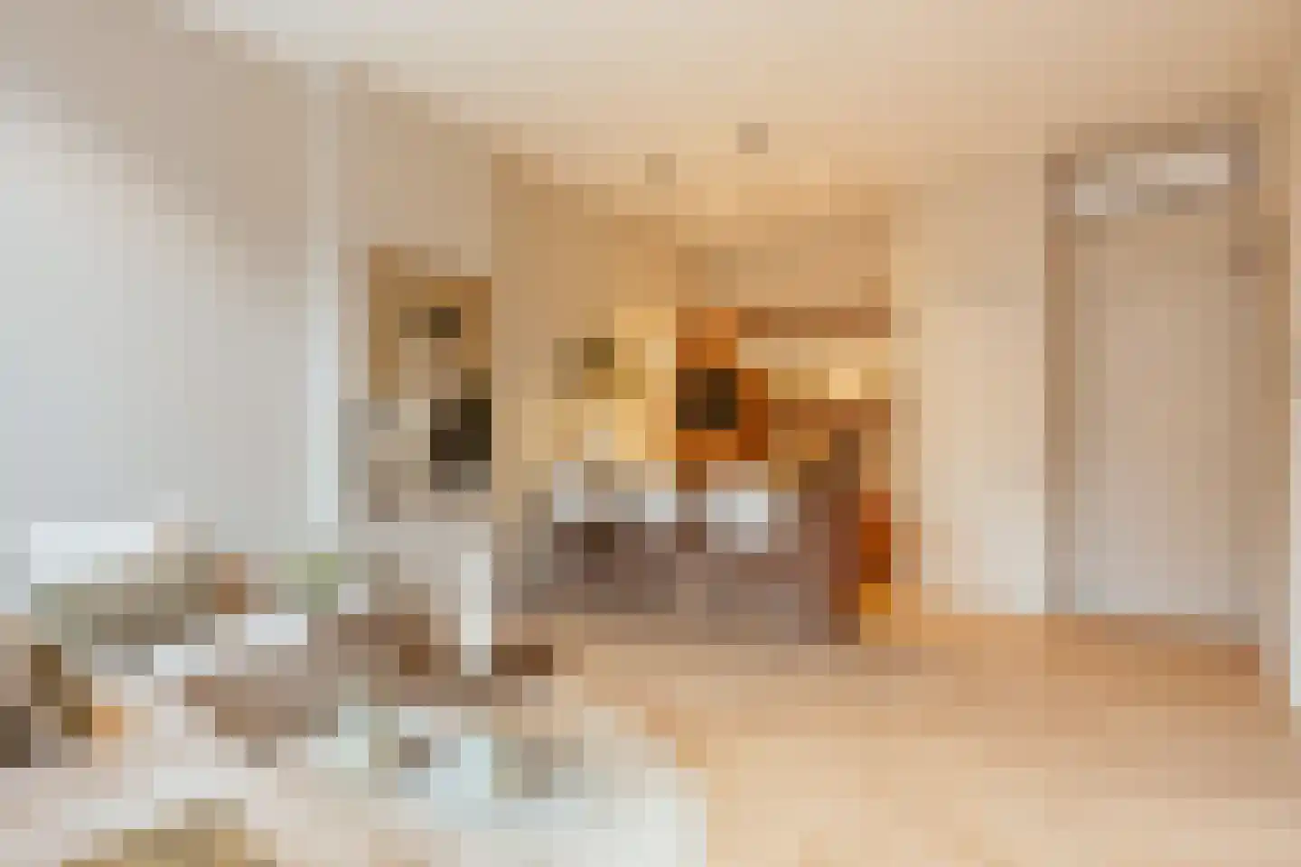 Koninginneweg 190 E Amsterdam thumbnail 9