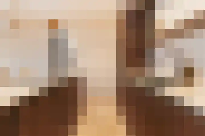 Koninginneweg 190 F Amsterdam thumbnail 14