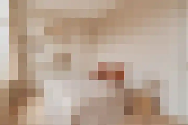 Koninginneweg 190 F Amsterdam thumbnail 17