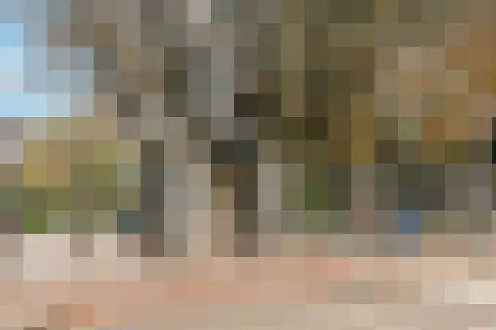 Koninginneweg 190 F Amsterdam thumbnail 30