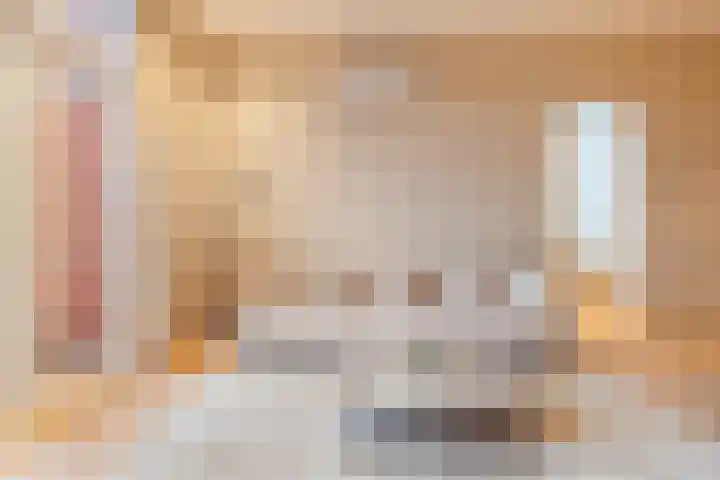 Koninginneweg 190 F Amsterdam thumbnail 6