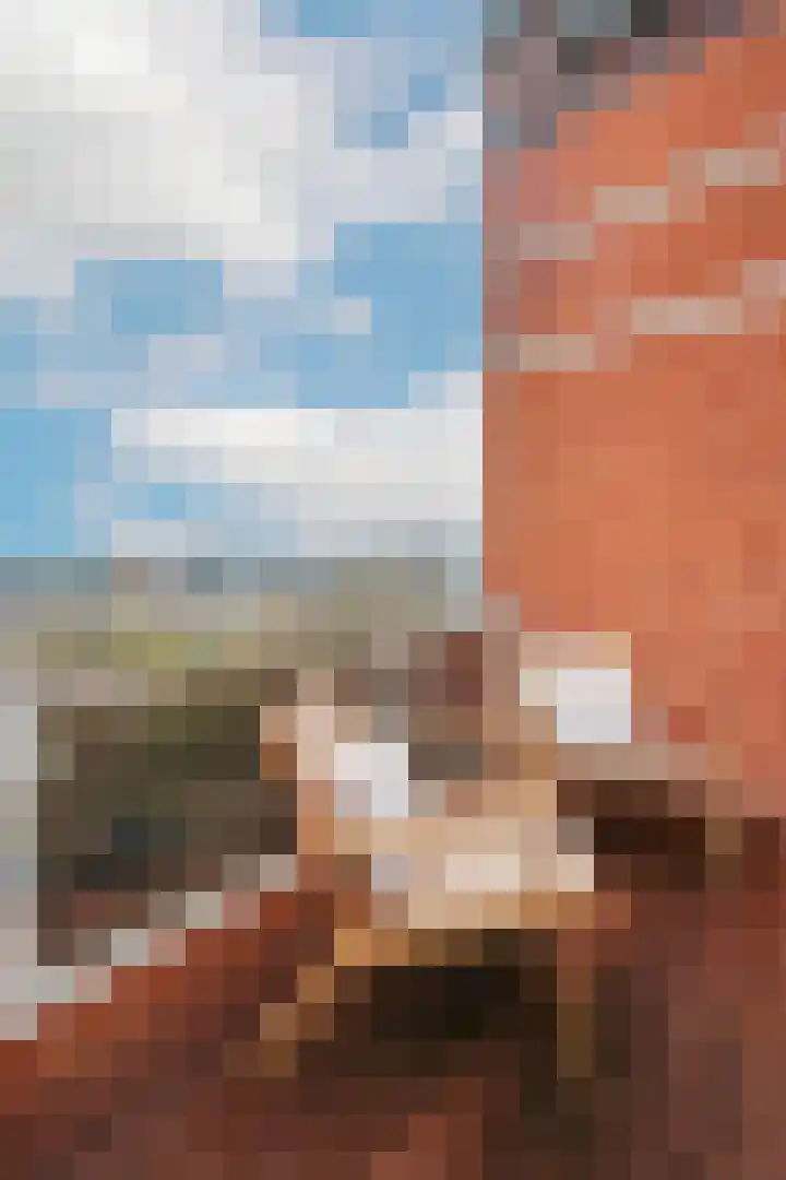Koninginneweg 190 F Amsterdam thumbnail 9