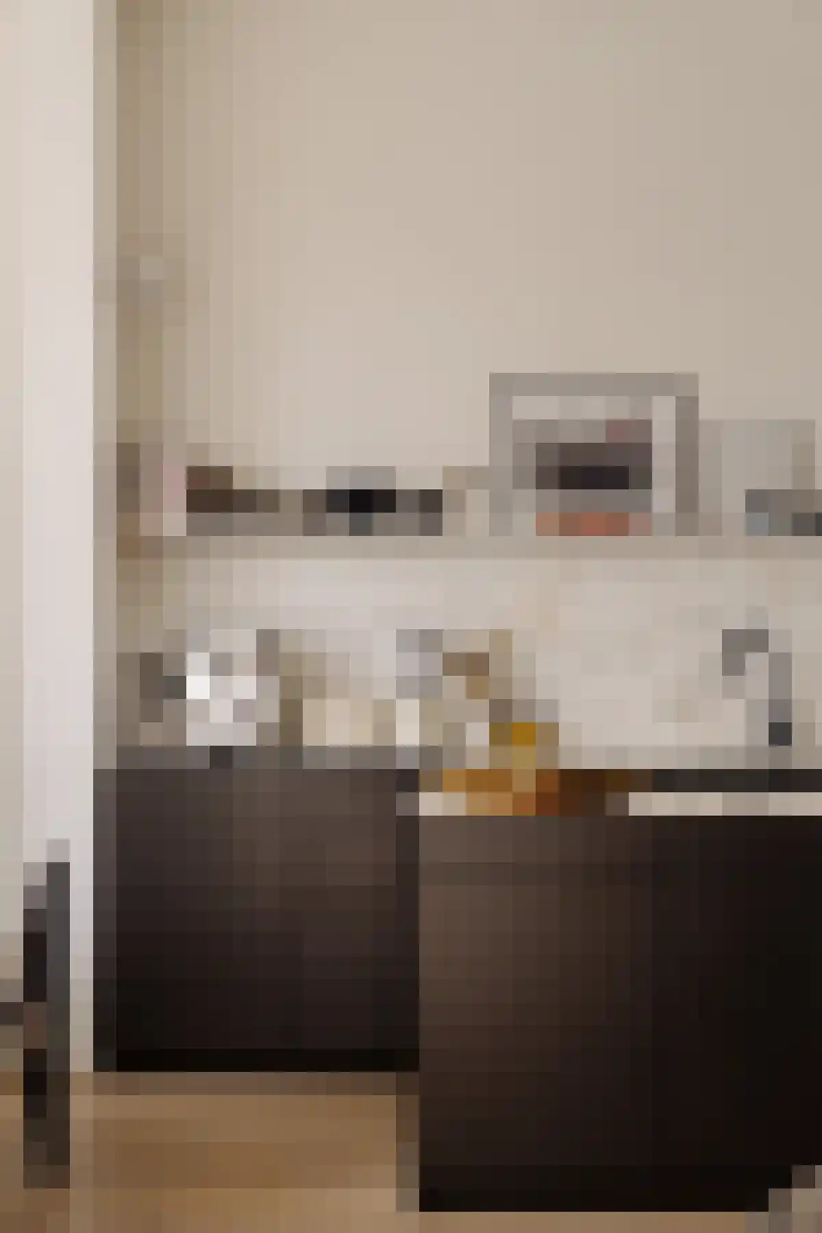 Koninginneweg 2 H Amsterdam thumbnail 5