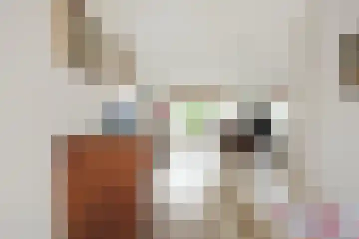 Koninginneweg 2 Hoevelaken thumbnail 10