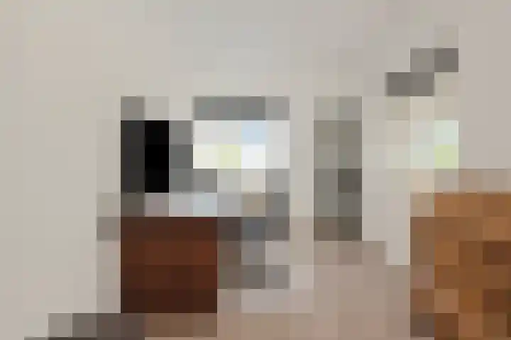 Koninginneweg 2 Hoevelaken thumbnail 20