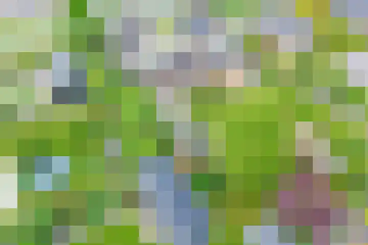 Koninginneweg 2 Hoevelaken thumbnail 35