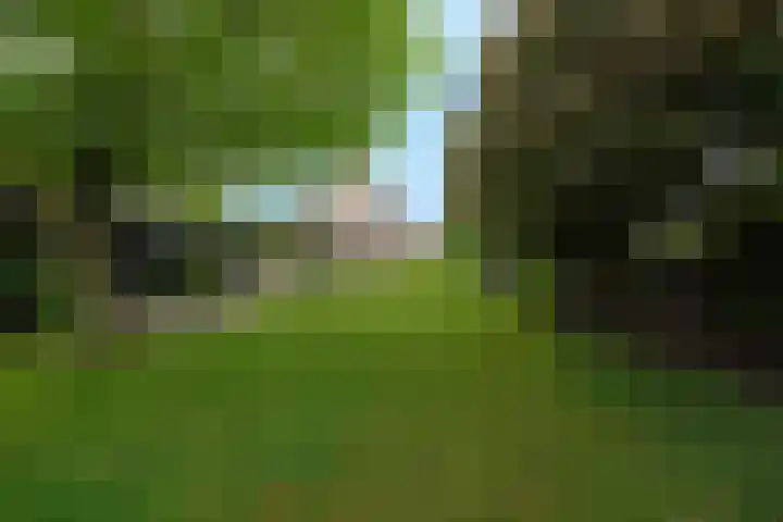 Koninginneweg 2 Hoevelaken thumbnail 39