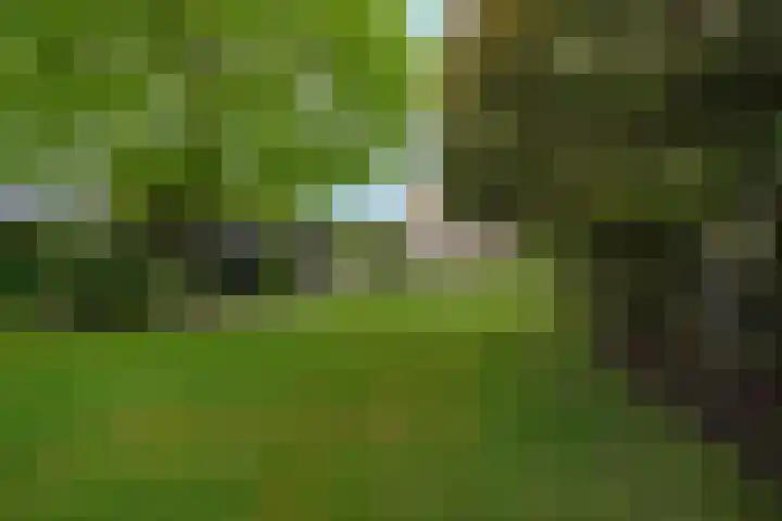 Koninginneweg 2 Hoevelaken thumbnail 40