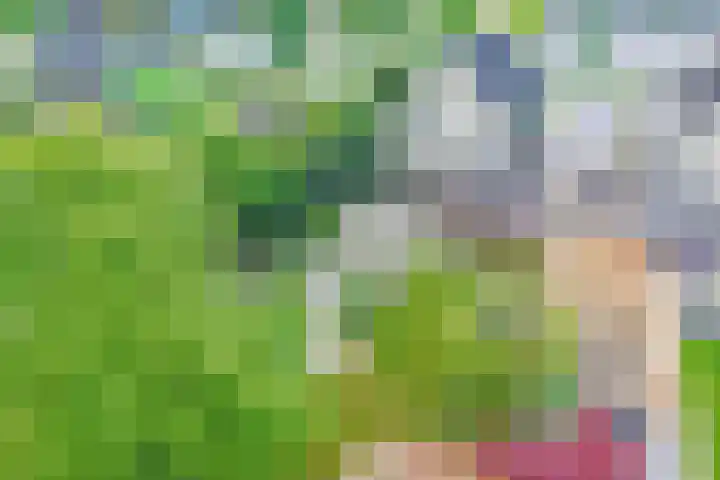 Koninginneweg 2 Hoevelaken thumbnail 7